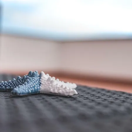 Lejlighed Bellatrix *