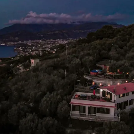 Bellatrix * 마사루브렌세