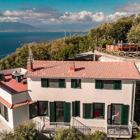 Bellatrix 마사루브렌세