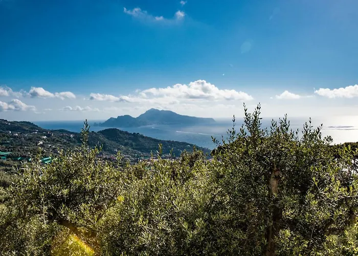 Bellatrix ماسّا لوبْرينسِ